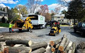 Best Arborist Consultation Services  in Ingram, TX